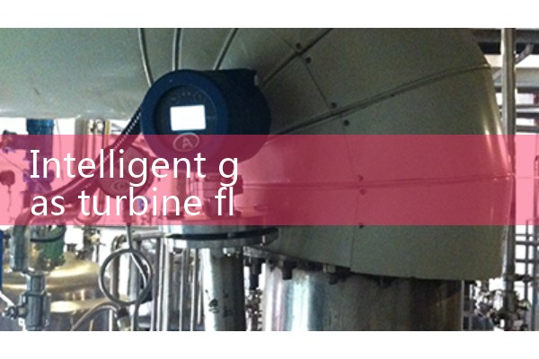 Intelligent gas turbine flowmeter